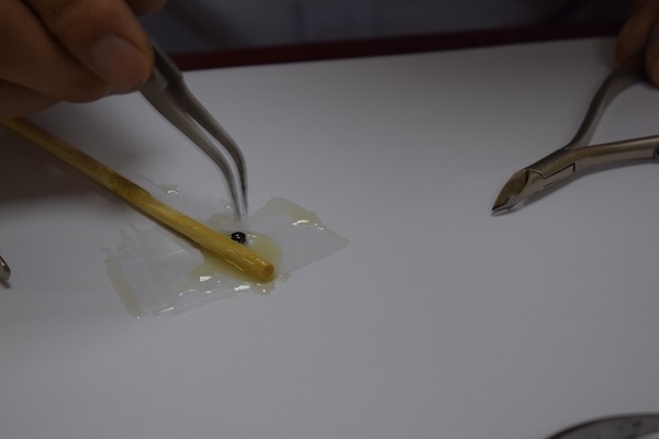 不銹鋼刀具需要粘接的部位