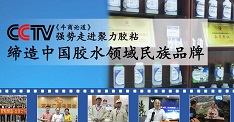 2018年聚力膠業加強人才隊伍建設,加強自身競爭能力 2018年聚力膠業加強人才隊伍建設,加強自身競爭能力