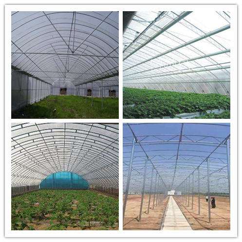 大棚膠水 溫室大棚滲漏修補 蔬菜大棚膠水